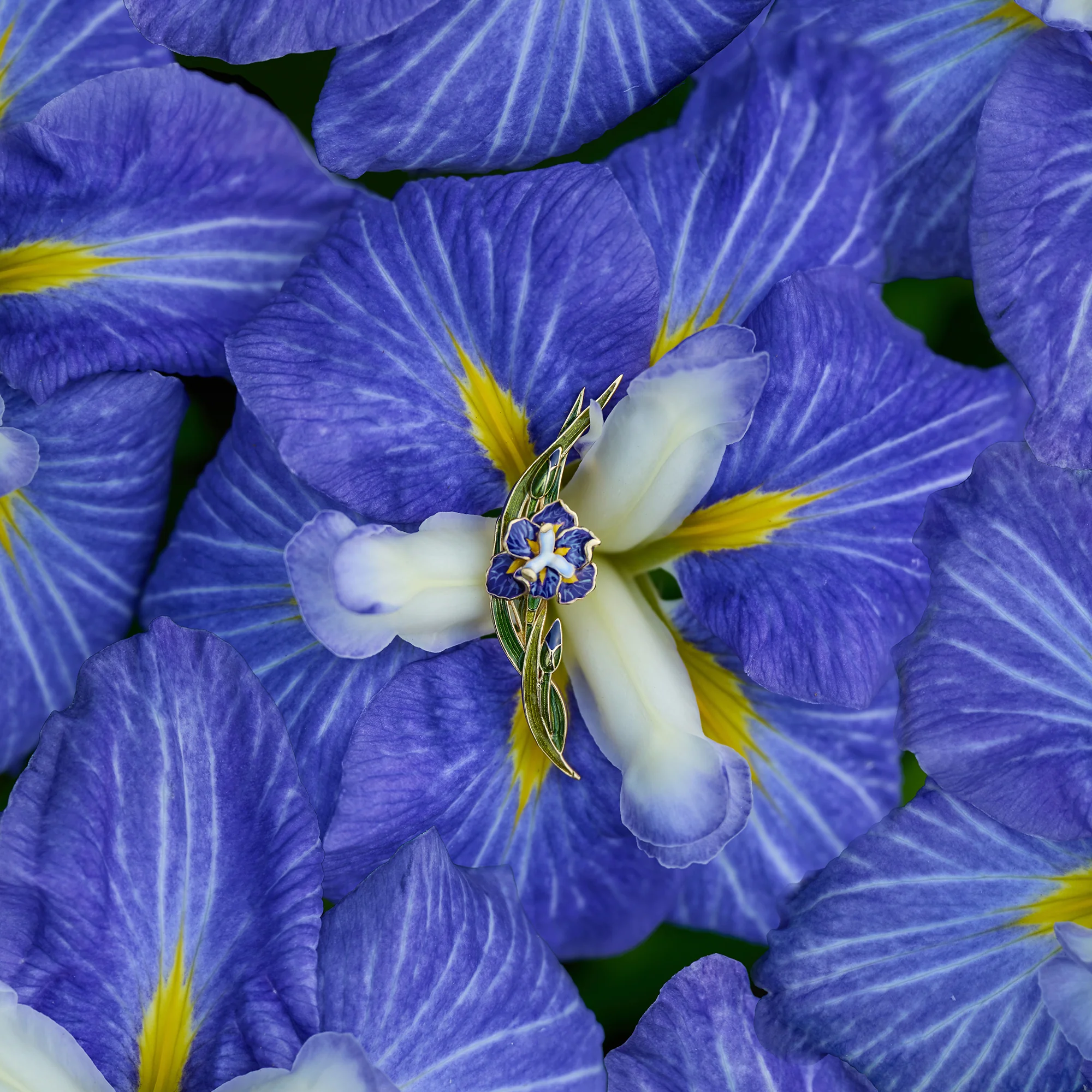 daparo Enamel Pins "Daparo Iris" - Image 10