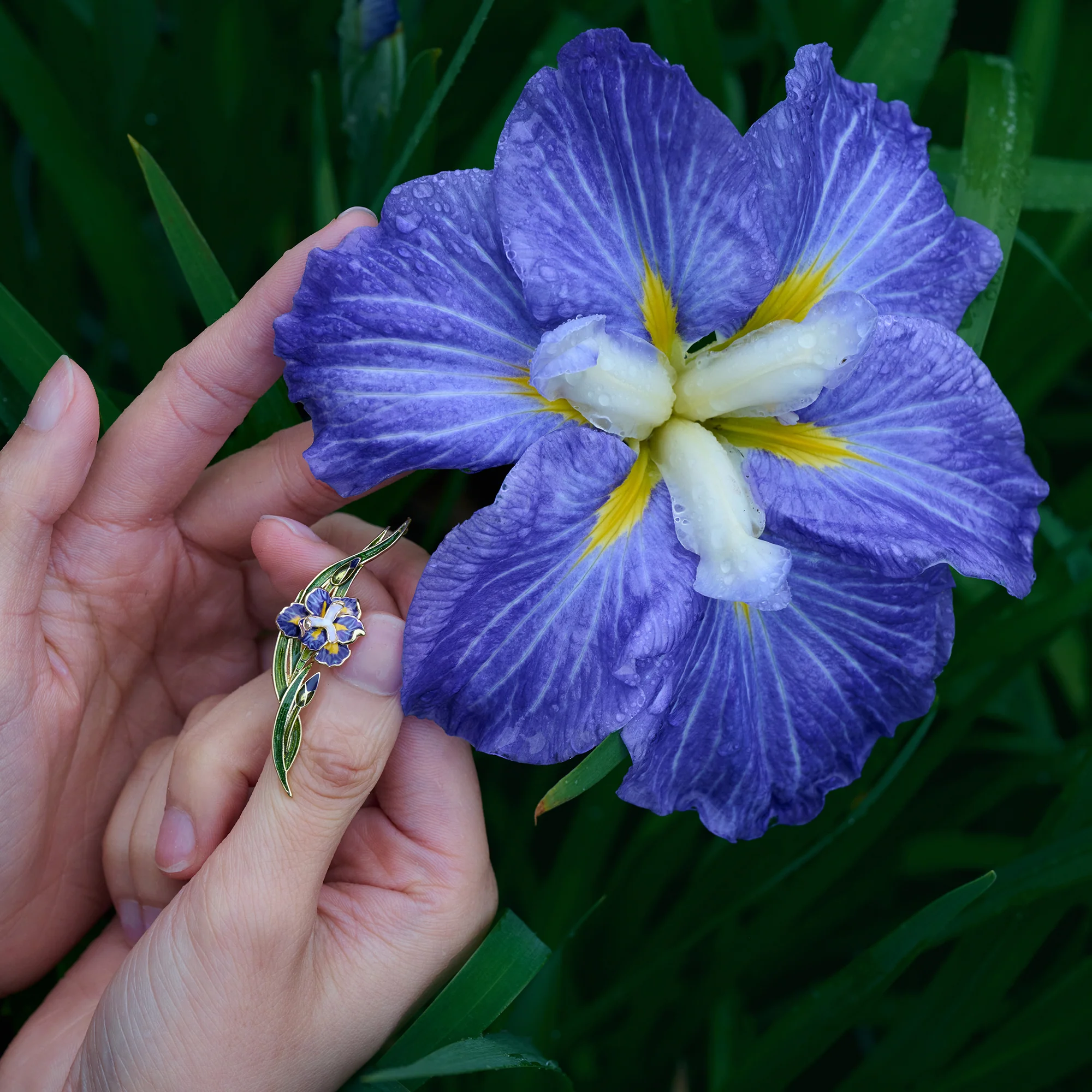 daparo Enamel Pins "Daparo Iris" - Image 11