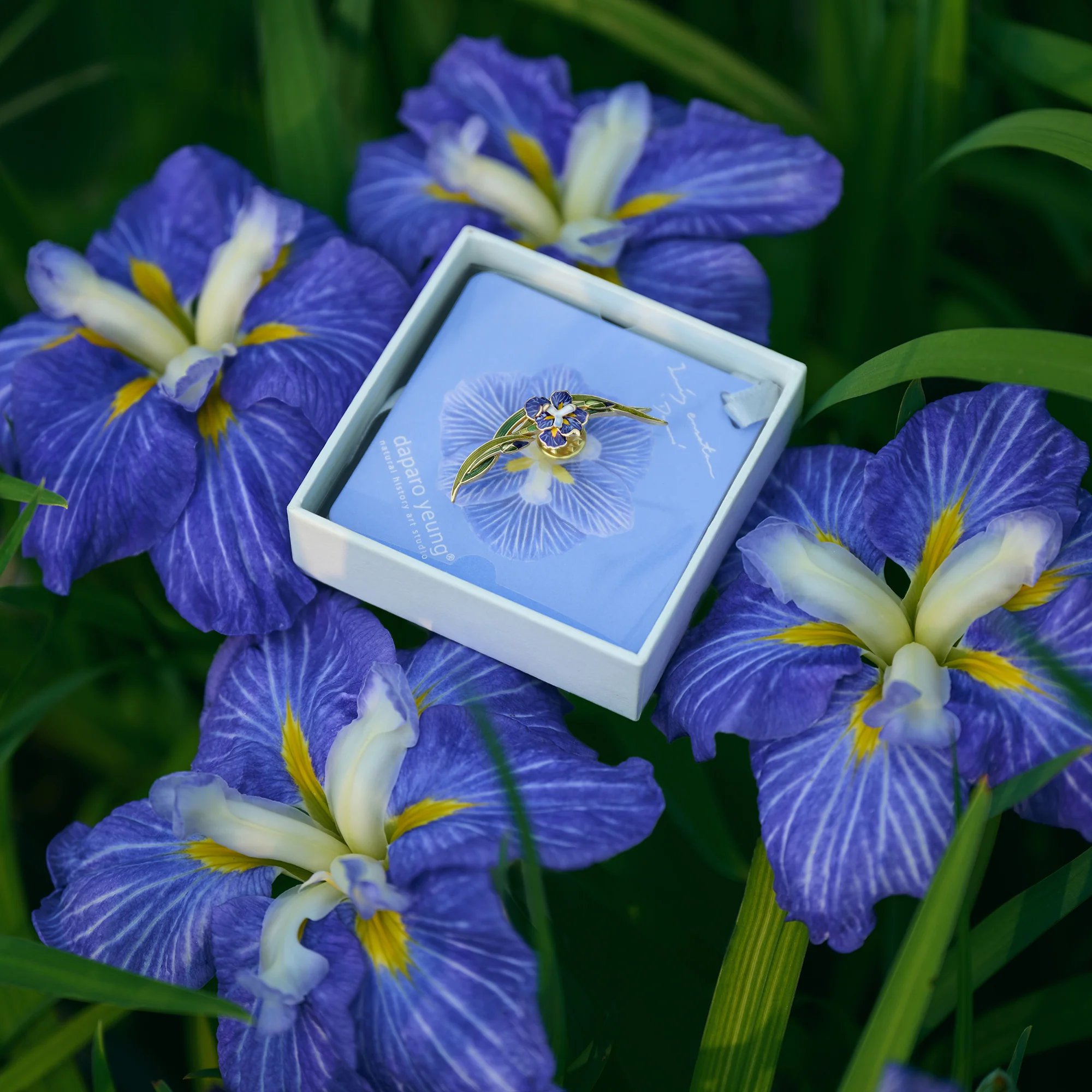 daparo Enamel Pins "Daparo Iris" - Image 3