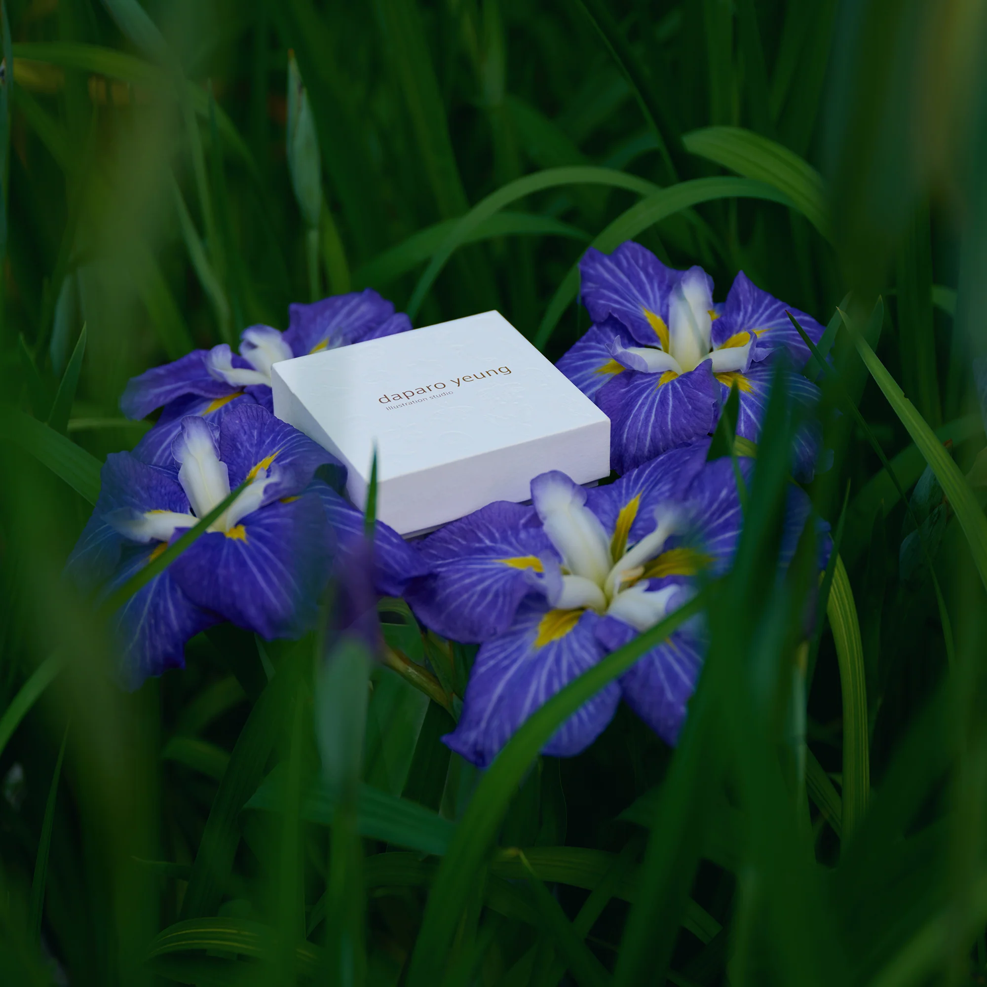 daparo Enamel Pins "Daparo Iris" - Image 4