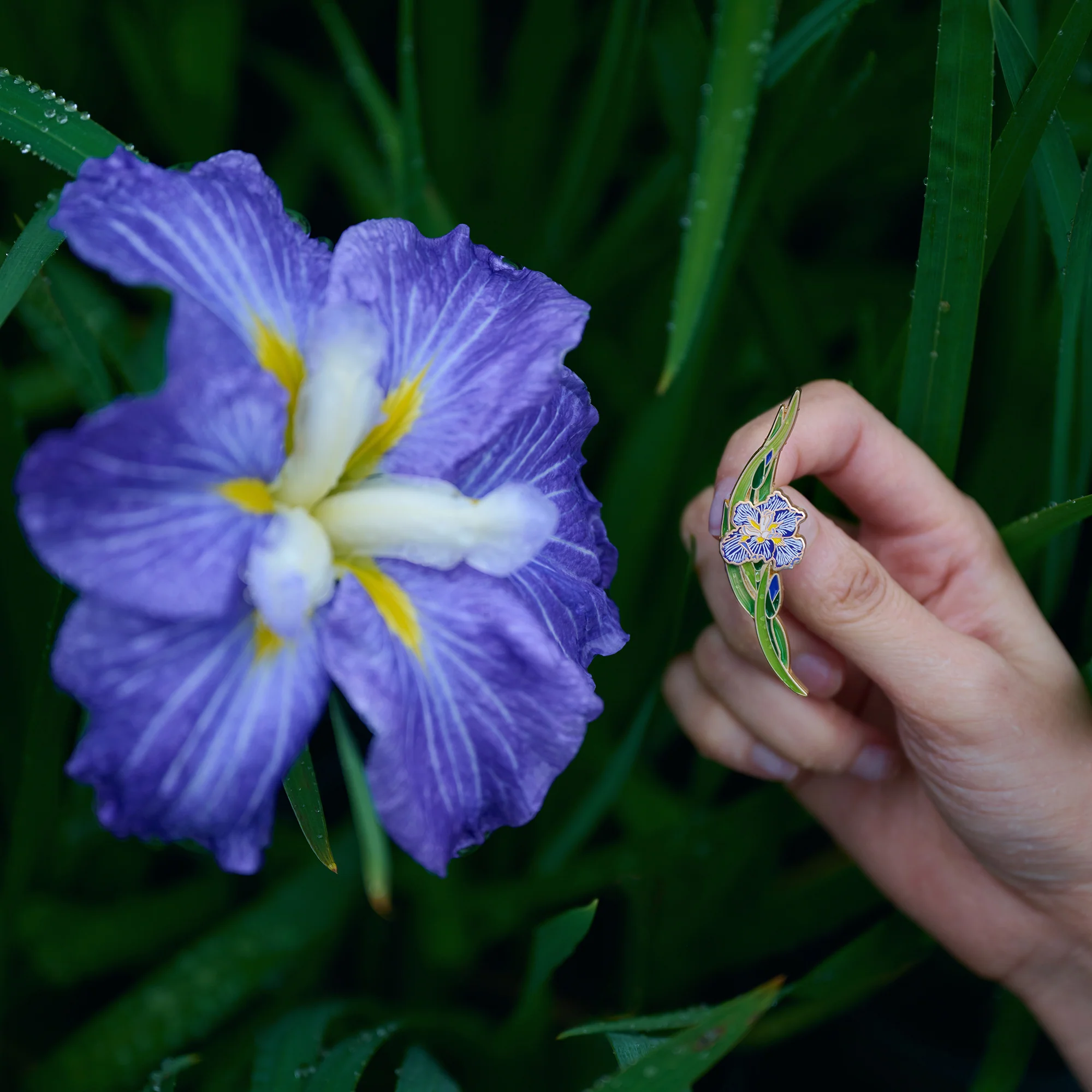 daparo Enamel Pins "Daparo Iris" - Image 6