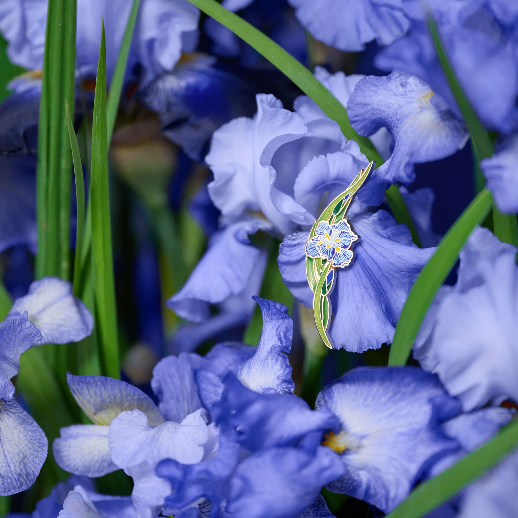 daparo Enamel Pins "Daparo Iris" - Image 7