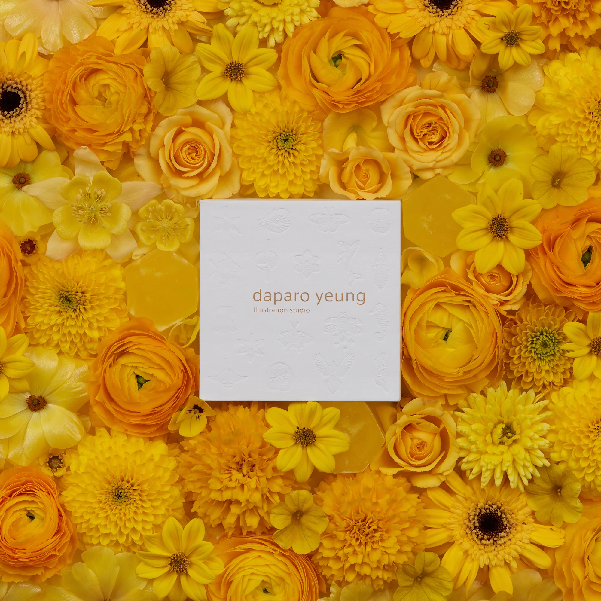 daparo Enamel Pins "Eastern Honey Bee" - Image 5