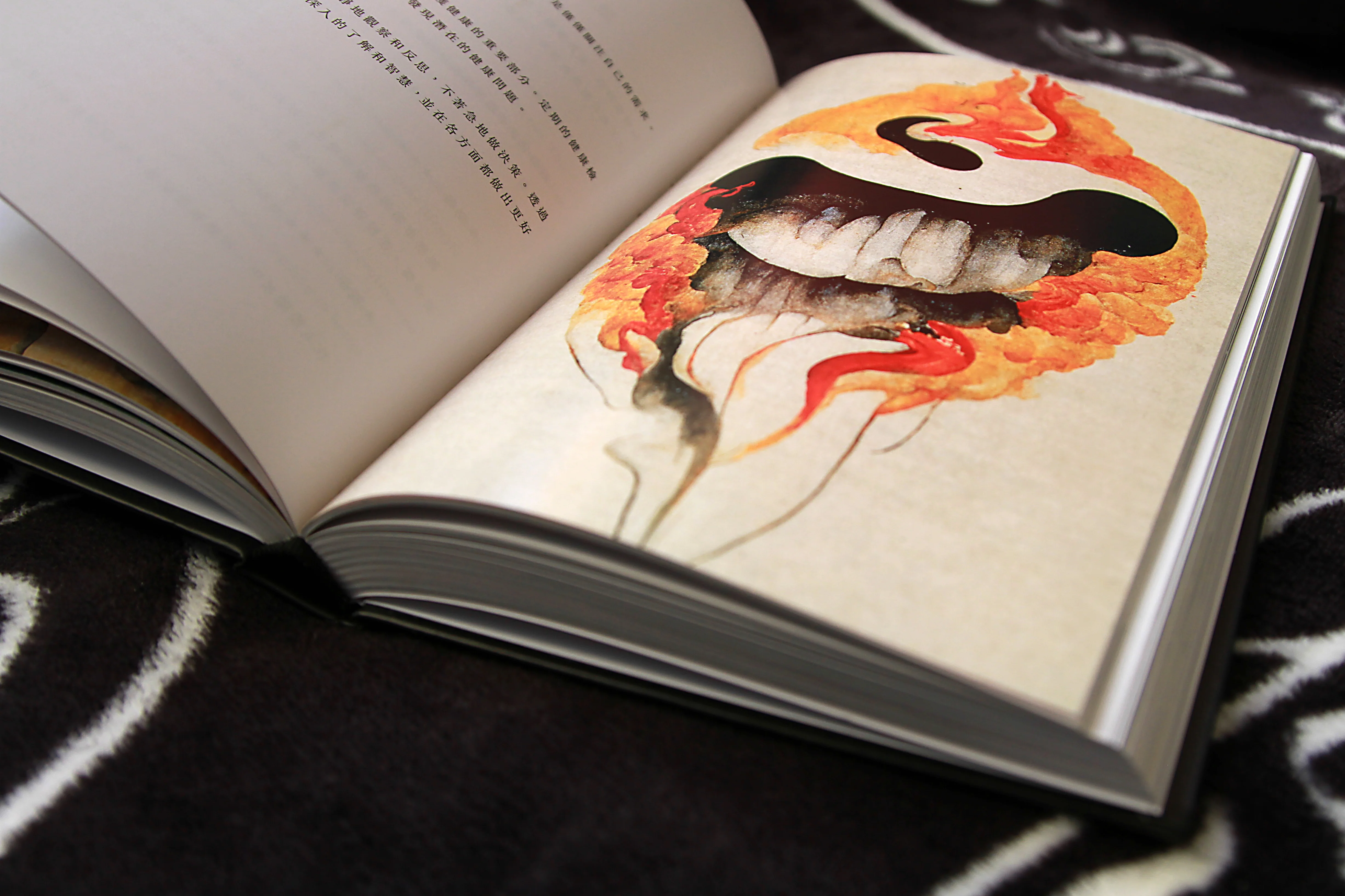 The Illustrated I-Ching: A Guide to the Book of Change - Image 10